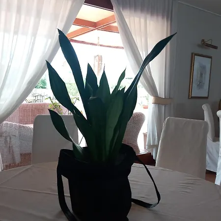 Hotel La Lampara-3